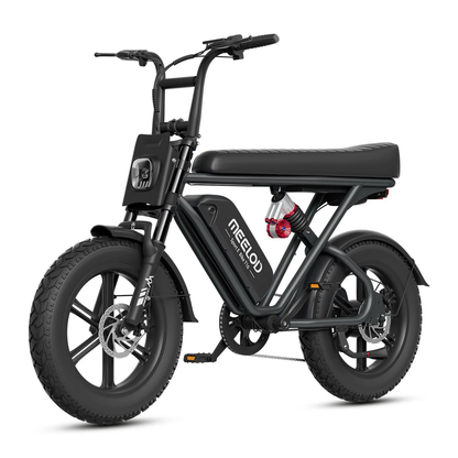 T16   Moped   Style