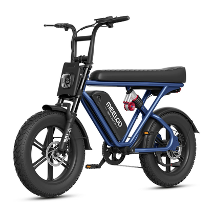T16   Moped   Style